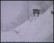 Oltre 60 cm di neve fresca a Ornica