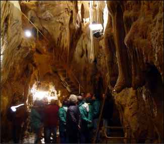 Le Guardie Ecologiche in visita alle Grotte