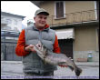 Pescata Trota marmorata da 3.7 kg