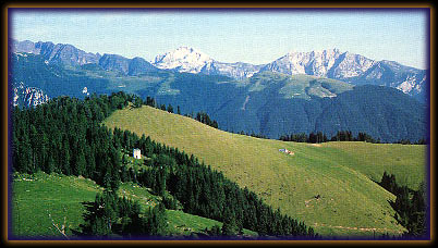 Alpe Gambetta dalla Strada Priula al Passo San Marco