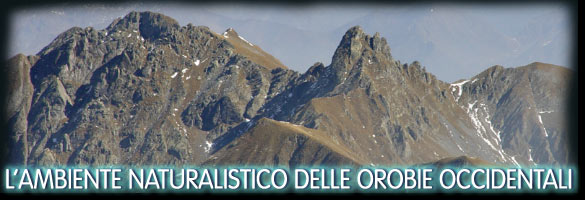 Ambiente Naturalistico delle Orobie