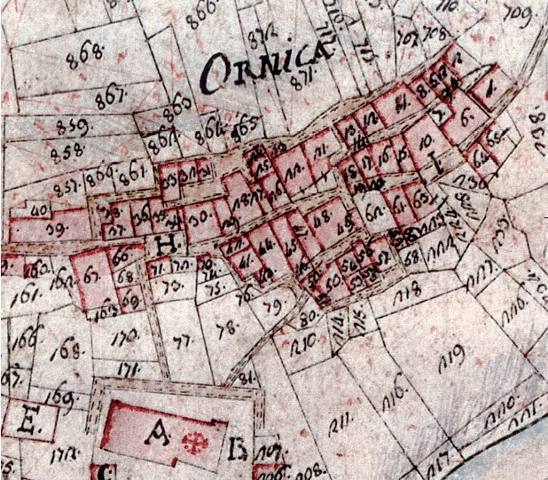 Ornica