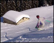 Fuoripista alle Torcole di Piazzatorre Ski