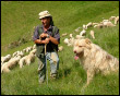 Giovanni con il suo gregge