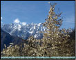 Sboccia la Primavera in Valle Brembana