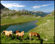 Laghi di Val Sambuzza e Caldirolo