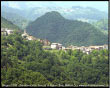 Frerola di Algua