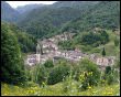 Averara