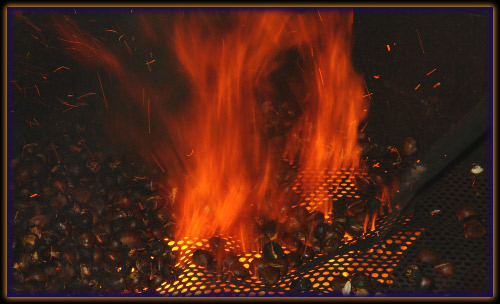 Festa delle Castagne Bracca