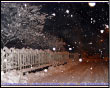 Gardata di Branzi sotto la neve
