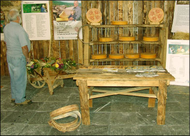 Formaggio Branzi - Latteria Sociale