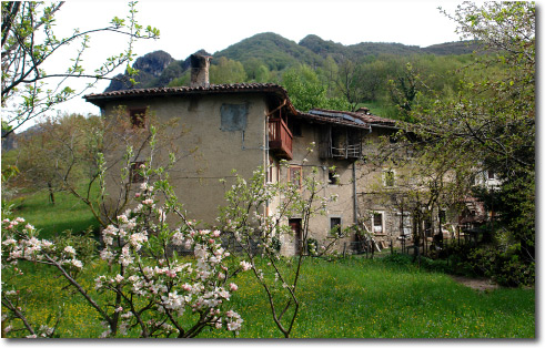 Boscalone di Cerro