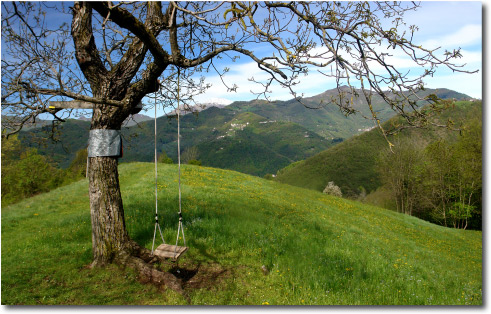 Cerro di Brembilla