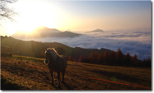 Alba nebbiosa di Cespedosio