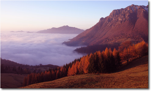 Alba nebbiosa di Cespedosio