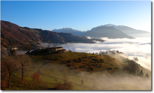 Alba nebbiosa di Cespedosio
