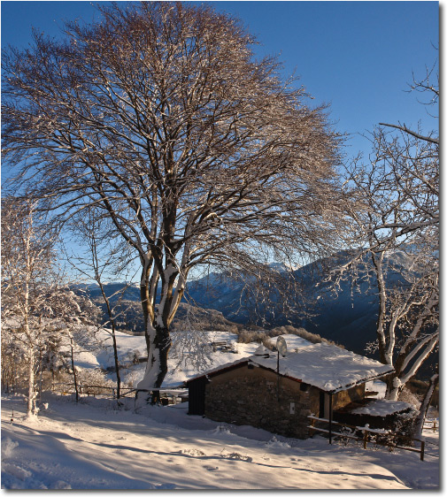 Candida neve in Valle Brembana