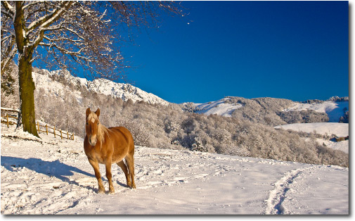 Candida neve in Valle Brembana