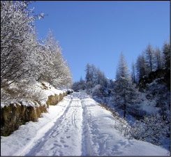 Sentiero verso il Calvi