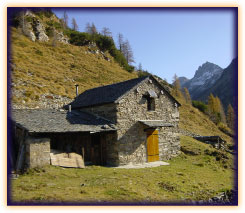 Baite nei pressi del Gemelli