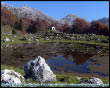 Tribulina di Piani d''Alben