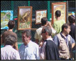 Chiusura di Fungolandia