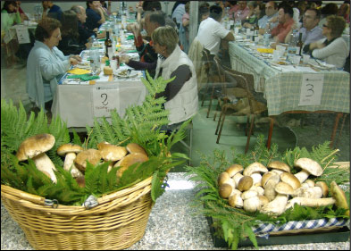 Cena di apertura di Fungolandia a Ornica