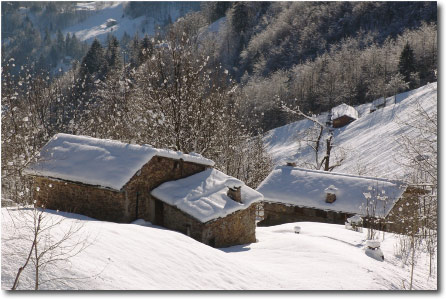 Stalle sui pendii del Pizzo Cusio