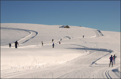Piani del Monte Avaro