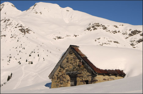 Piani del Monte Avaro