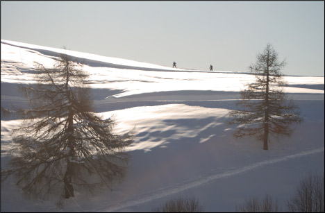 Piani del Monte Avaro