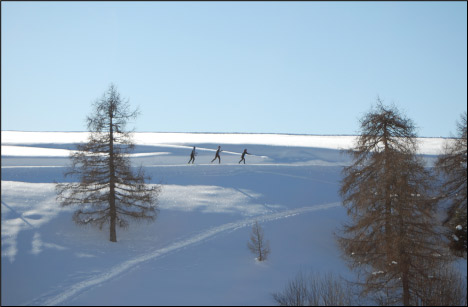 Piani del Monte Avaro