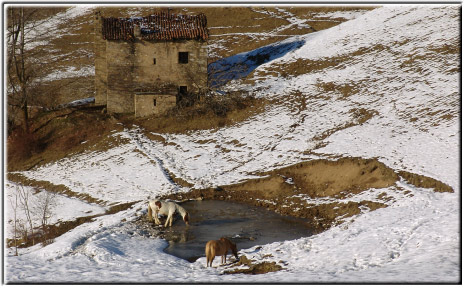 Stalle a Cascina Vecchia di Dossena