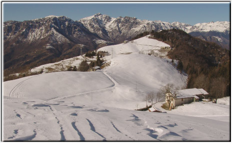 Stalle a Cascina Vecchia