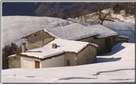 Stalle a Cascina Vecchia