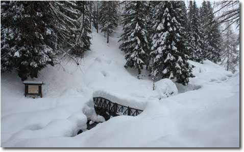Gran neve a Foppolo