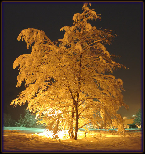 Immagini neve Lenna Valle Brembana