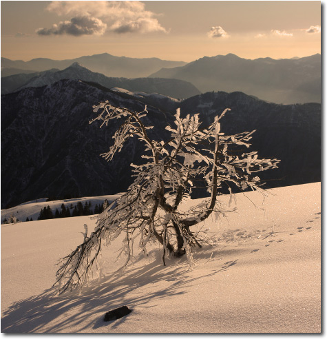 Valbona di Ortighera - Paesaggi innevati