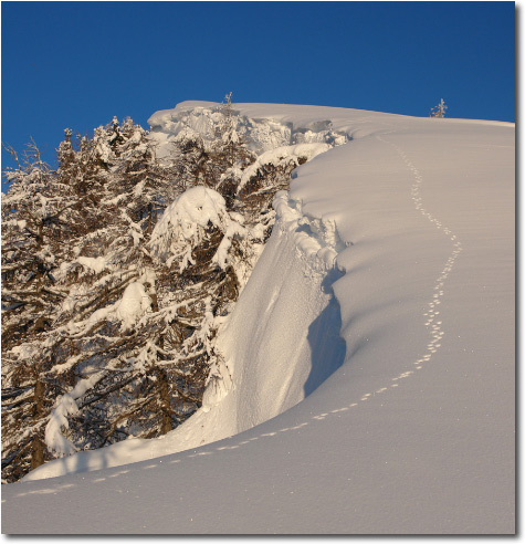 Valbona di Ortighera - Paesaggi innevati