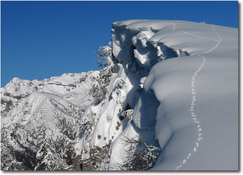 Valbona di Ortighera - Paesaggi innevati