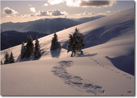 Valbona di Ortighera - Paesaggi innevati