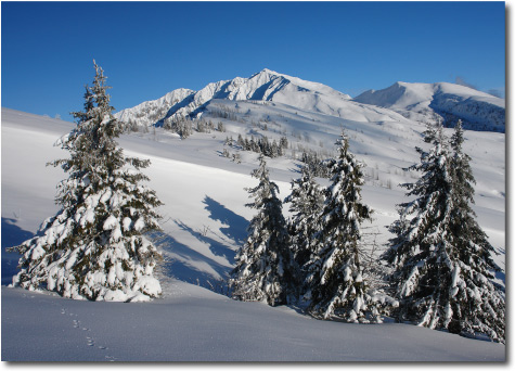 Valbona di Ortighera - Paesaggi innevati