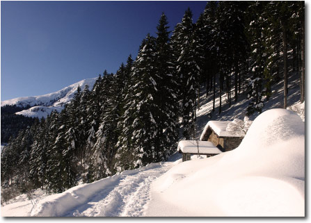 Neve Ponte dell'Acqua Madonna delle Nevi Val Terzera