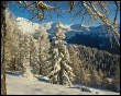 Estate di San Martino alla Gambetta di Mezzoldo