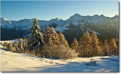 La Candida Estate di San Martino alla Gambetta di Mezzoldo