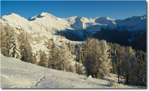 La Candida Estate di San Martino alla Gambetta di Mezzoldo