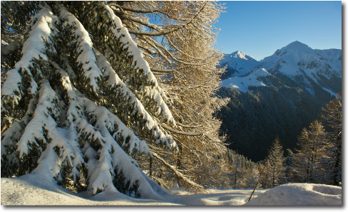 La Candida Estate di San Martino alla Gambetta di Mezzoldo