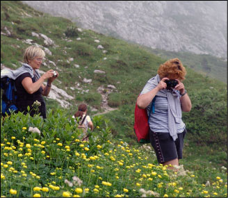 Sentiero dei Fiori, percorso basso