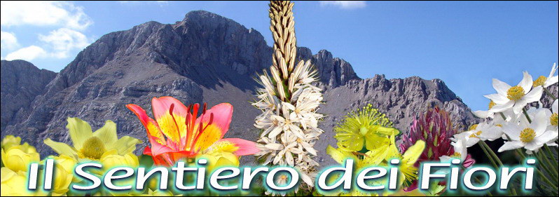 Sentiero dei Fiori - Alpe Arera