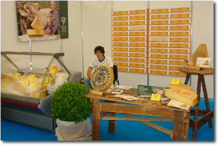 Festinvalle 2008